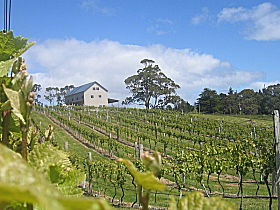 Bruny Island Premium Wines Bar And Grill - Accommodation Brisbane 0
