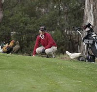 Tasmania Golf Club - The - Accommodation Brisbane