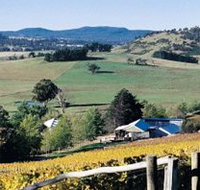 Freycinet Vineyards Pty Ltd - Accommodation Brisbane
