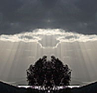 aart. Gallery of Fine Art - Accommodation Brisbane