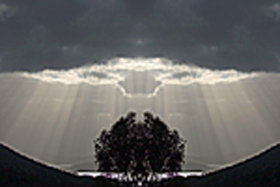 Aart. Gallery Of Fine Art - Accommodation Brisbane 0