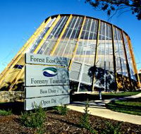 Forest EcoCentre - Accommodation Brisbane
