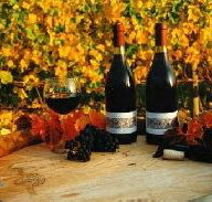 Craigow Vineyard - Accommodation Brisbane