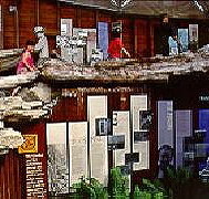 West Coast Visitor Information and Booking Centre - Accommodation Brisbane