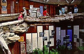 West Coast Visitor Information And Booking Centre - Accommodation Brisbane 0