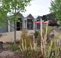 Tin Dragon Interpretation Centre and Cafe - Accommodation Brisbane