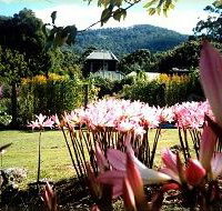 Blueberry Cottage Open Gardens - Accommodation Brisbane