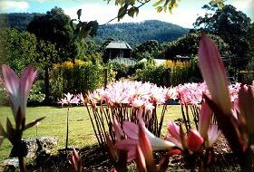 Blueberry Cottage Open Gardens - Accommodation Brisbane 0