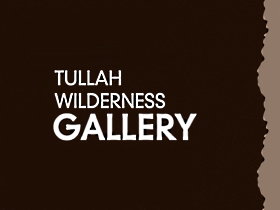 Tullah Wilderness Gallery - Accommodation Brisbane 0