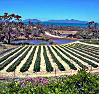 Kate's Berry Farm - Accommodation Brisbane
