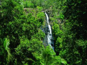 Montville QLD Accommodation Brisbane