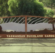 Tasmanian Bushland Garden - Accommodation Brisbane