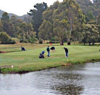 Penguin Golf Course - Accommodation Brisbane