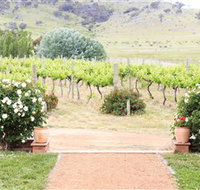 Brindabella Hills Winery - Accommodation Brisbane
