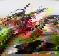 Courgette - Accommodation Brisbane