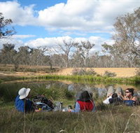 Canberra Nature Park - Accommodation Brisbane