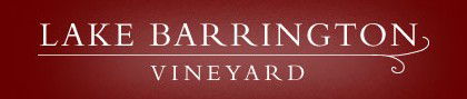 Lake Barrington Estate Vineyard - Accommodation Brisbane 0