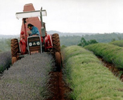 Nabowla TAS Accommodation Brisbane