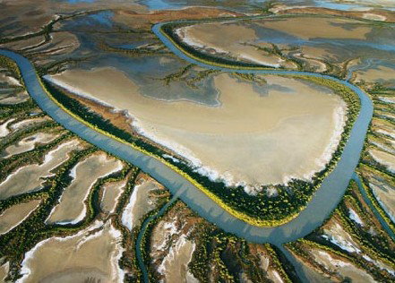 The Wilderness Gallery - Accommodation Brisbane 0