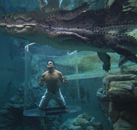 Crocosaurus Cove - Accommodation Brisbane