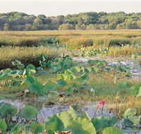 Fogg Dam Conservation Reserve - Accommodation Brisbane