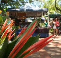 Nightcliff Markets - Accommodation Brisbane