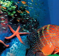 Indo Pacific Marine - Accommodation Brisbane