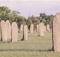 Magnetic Termite Mounds - Accommodation Brisbane