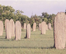Magnetic Termite Mounds - Accommodation Brisbane 0
