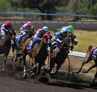 Alice Springs Turf Club - Accommodation Brisbane