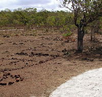 Wurrwurrwuy Garanhan Macassan Beach Interpretive Walk - Accommodation Brisbane