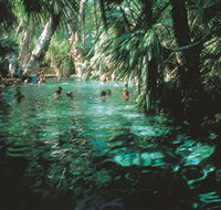 Mataranka Thermal Pool - Accommodation Brisbane