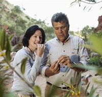 Simpsons Gap - Accommodation Brisbane