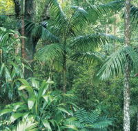 Westside Track Maiala - Accommodation Brisbane