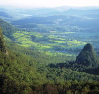 Springbrook Plateau Springbrook National Park - Accommodation Brisbane