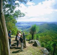 Gold Coast Hinterland Great Walk - Accommodation Brisbane