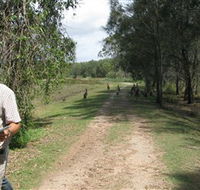 Coombabah Lakes Conservation Area - Accommodation Brisbane
