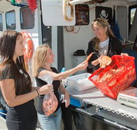 Gold Coast Fishermens Co-operative Limited - Accommodation Brisbane