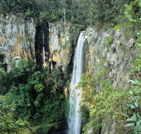 Gondwana Rainforests of Australia - Accommodation Brisbane