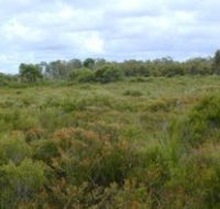 Pine Ridge Conservation Park - Accommodation Brisbane