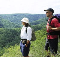 Sunshine Coast Hinterland Great Walk - Accommodation Brisbane