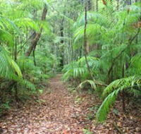Delicia Road Conservation Park - Accommodation Brisbane