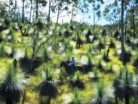 Oakview QLD Accommodation Brisbane