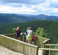 Kenilworth Forest Reserve - Accommodation Brisbane