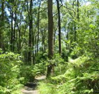 Mapleton Falls National Park - Accommodation Brisbane
