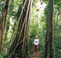 Wet Tropics - Accommodation Brisbane