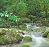Mossman Gorge Daintree National Park - Accommodation Brisbane