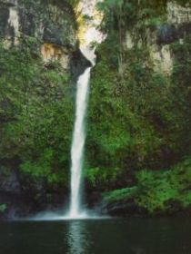 Nandroya Falls Circuit Track, Wooroonooran National Park - Accommodation Brisbane 0