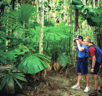 Mount Sorrow Ridge Trail Daintree National Park - Accommodation Brisbane