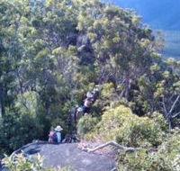 Mia Mia State Forest - Accommodation Brisbane
